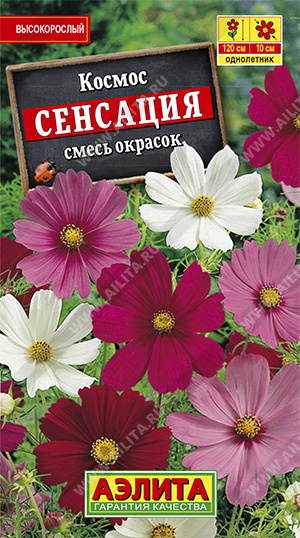  Космея Сенсация смесь цв. Аэлита