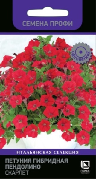  Петуния гибридная Пендолино скарлет 5шт цв 