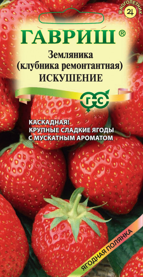  Земляника (Клубника) Саммер Бриз Роуз F1 4шт Гавриш 