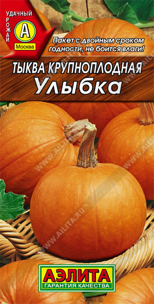  Тыква крупноплодная Улыбка цв. Аэлита