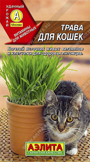  Трава для кошек цв. Аэлита