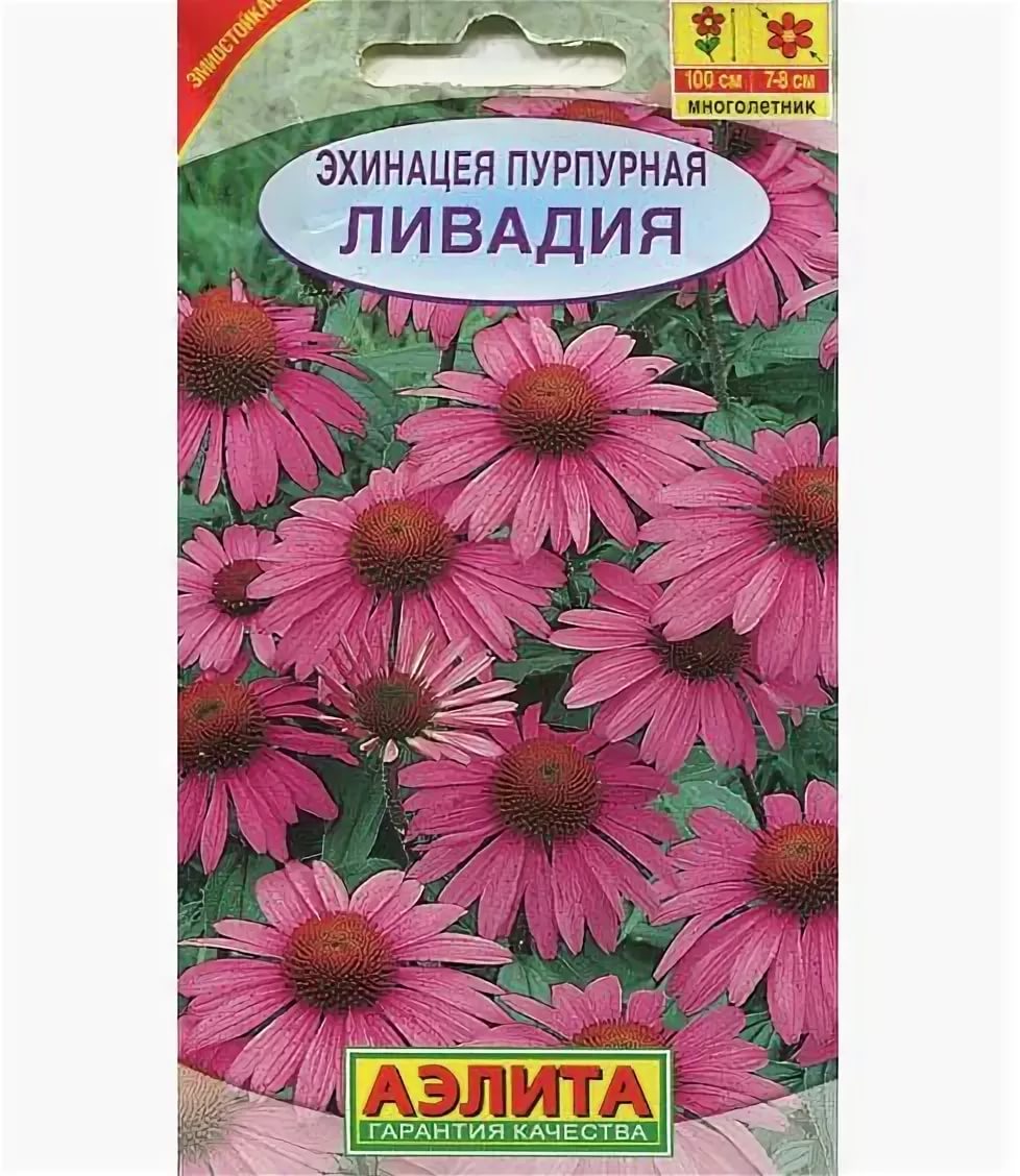  Эхинацея Ливадия пурпурная цв Аэлита