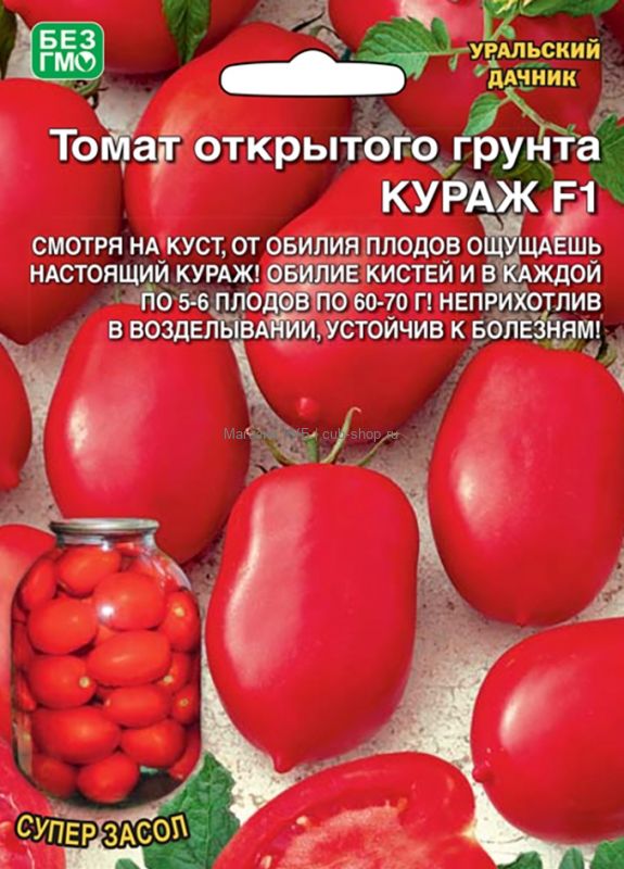  Томат открыт.грунта Кураж F1 цв Урал.Дачник б/ф