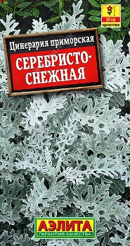  Цинерария Серебристо-снежная цв Аэлита