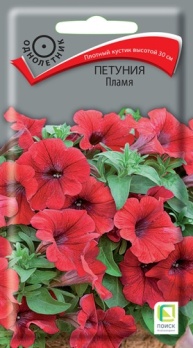  Петуния Пламя 0,1г цв Поиск