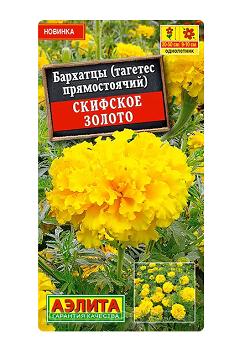  Бархатцы Скифское золото прямостояч цв Аэлита