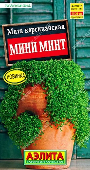 Мята Корсиканская мини минт 3шт цв Аэлита