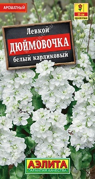  Левкой Дюймовочка карликовый белый 30шт цв Аэлита