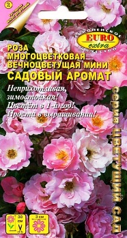  Роза Садовый аромат многоцветковая цв Аэлита