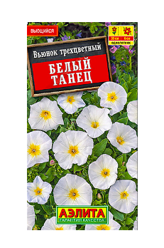  Вьюнок Белый танец  цв.Аэлита