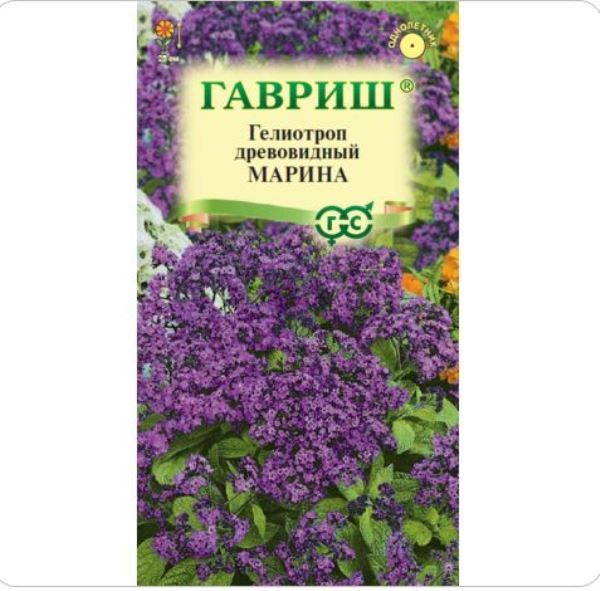  Гелиотроп древовидн Марина 0,03г Н22 Гавриш
