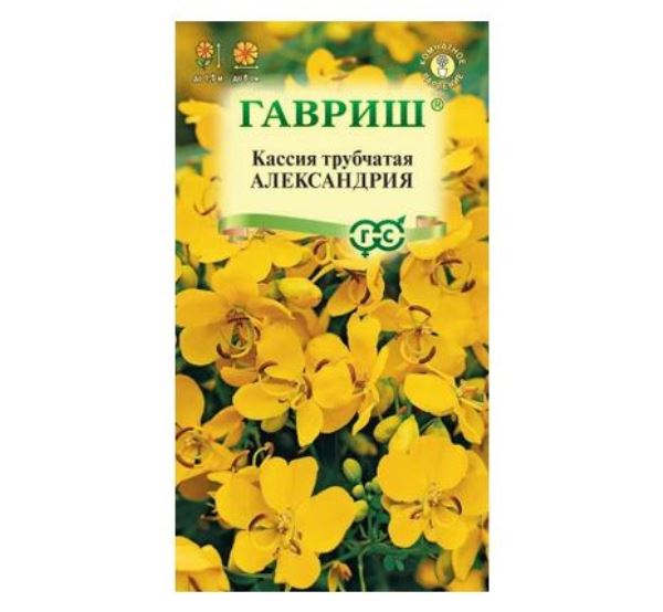  Кассия Александрия трубчатая 3шт Гавриш