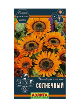 Венидиум пышный Солнечный цв Аэлита