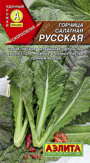  Горчица сарептская салатная Русская 0,5г цв Аэлита