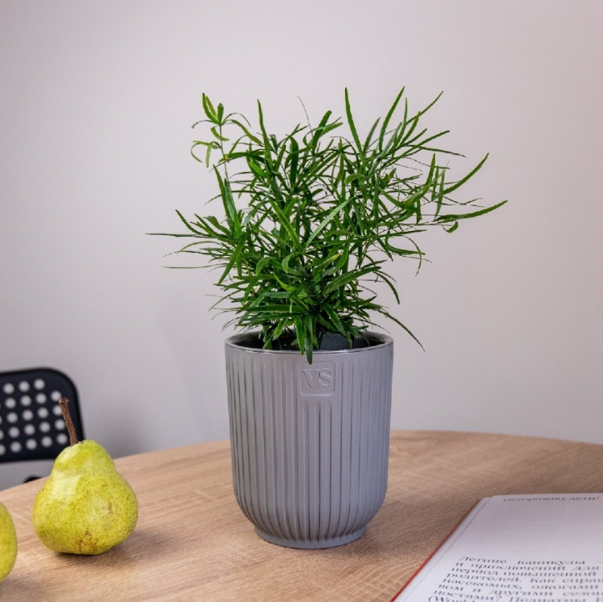  Горшок для цветов 2,4л VipSet с дренажной системой и фитильным поливом Эйва серый