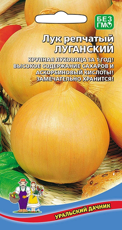  Лук репчатый Луганский Урал.Дачник