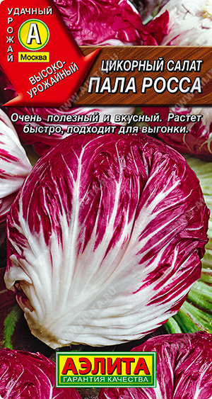  Салат цикорный Пала Росса цв Аэлита