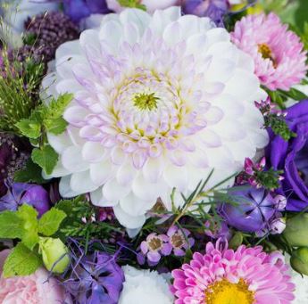  Клеенка  1,37х20м ткань с пвх покрыт. Grace STS3022