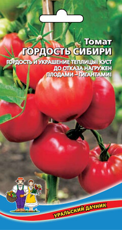  Томат Гордость Сибири цв Урал.Дачник