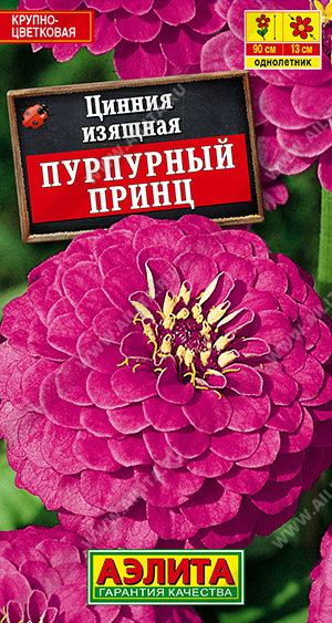  Цинния Пурпурный принц цв Аэлита