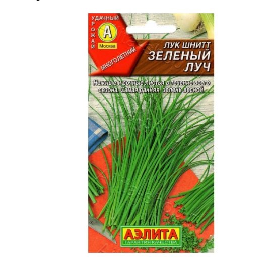  Лук шнитт Зеленый луч цв Аэлита