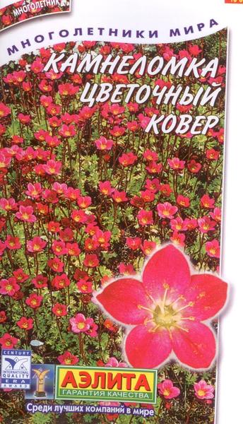  Камнеломка Цветочный ковер цв Аэлита