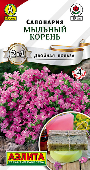  Сапонария Мыльный корень цв Аэлита