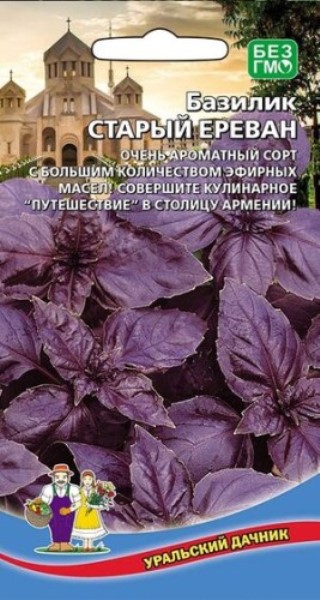  Базилик Старый Ереван цв Урал.Дачник