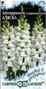  Антирринум (львиный зев) Аляска 0,05г цв Устойчив к заморозкам! Гавриш