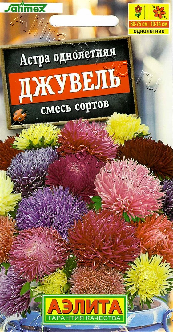  Астра Джувель смесь цв Аэлита