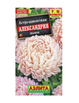  Астра Александрия шамоа цв Аэлита