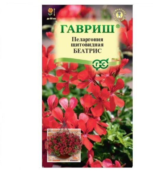  Пеларгония Беатрис ампель 3шт Н22 Гавриш