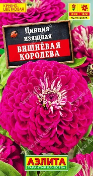  Цинния Вишневая королева цв Аэлита