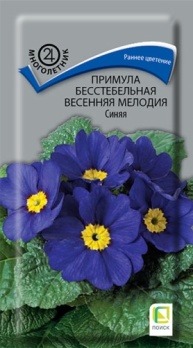  Примула бесстебельная Весенняя мелодия синяя 10шт цв Поиск