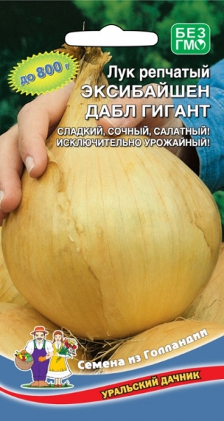  Лук репчатый Эксибайшен дабл гигант цв Урал.Дачник