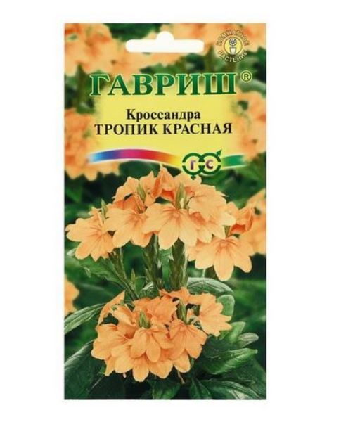  Кроссандра тропик красная 3шт Элит клумба