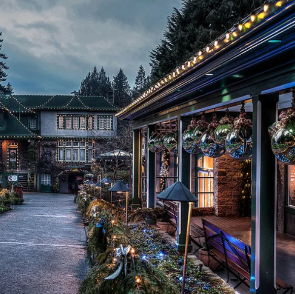  Гирлянда Белт-Лайт 5м+3м E27 улич черн.кауч. CL50-8 29883 Feron