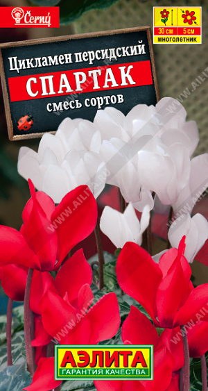  Цикламен персидский Спартак смесь цв Аэлита