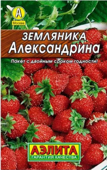  Земляника Александрина 0,05г цв Аэлита (лидер)