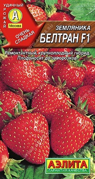  Земляника ремонтантная Белтран F1 крупноплод цв.Аэлита 