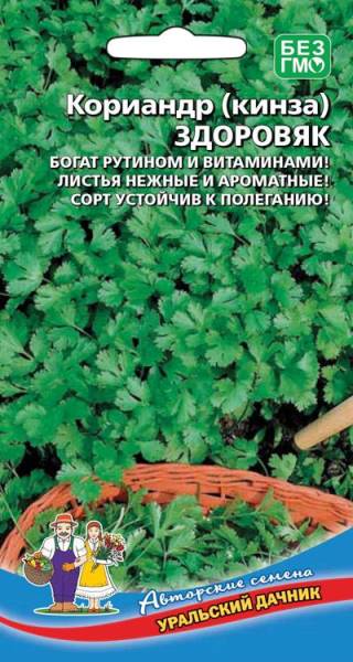  Кориандр (кинза) Здоровяк цв Урал.Дачник