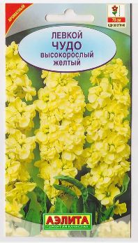  Левкой Чудо желтый высокорос цв. Аэлита