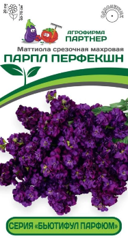  Маттиола Бьютифул Парфюм Парпл Перфекшн срезочн махр 10шт 2-ой пак Партнер