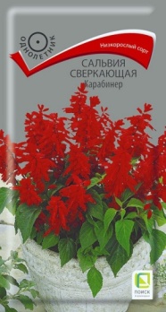  Сальвия сверкающая Карабинер 0,1г цв Поиск