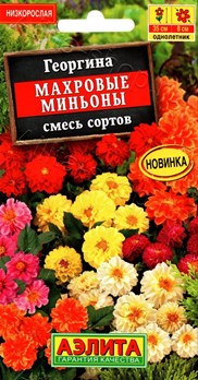  Георгина Махровые миньоны смесь цв Аэлита