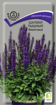  Шалфей дубравный пышный Фиолетовый 0,1г цв Поиск