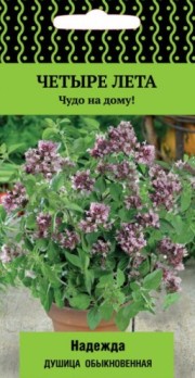  Душица обыкновенная Надежда 20шт цв Поиск