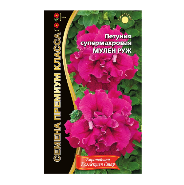  Петуния супермахр. Мулен Руж цв Урал. Дачник