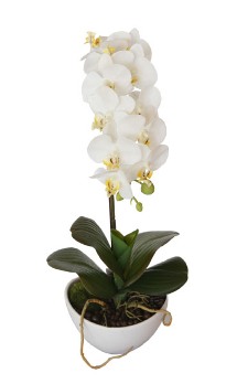  Орхидея белая в горшке h46см 29BJ-170-06 GARDA DECOR