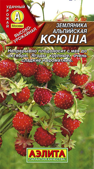  Ежевика Настена-сластена 15шт цв.Аэлита 